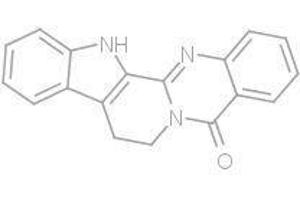 Rutaecarpine