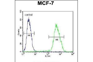 Flow cytometric analysis of MCF-7 cells (right histogram) compared to a negative control cell (left histogram). (LMO4 抗体  (AA 104-131))