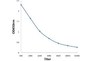 ELISA image for anti-ATPase, Ca++ Transporting, Plasma Membrane 1 (ATP2B1) (AA 351-450) antibody (ABIN1714863)