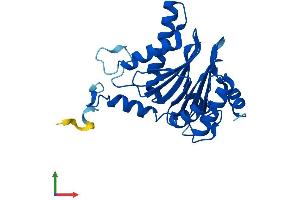 Protein Structure (PS) image for Proteasome Subunit alpha 5 (PSMA5) (AA 1-241) protein (His tag) (ABIN7556446)