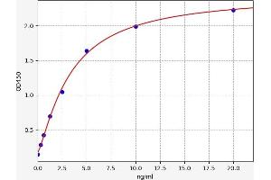 Typical standard curve (GNMT ELISA 试剂盒)