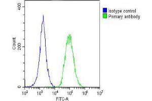 Overlay histogram showing A549 cells stained with Antibody (green line). (ROR1 抗体)