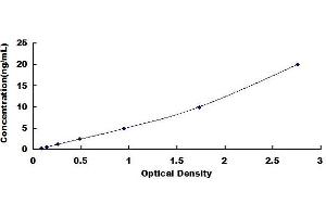 Typical standard curve (APP ELISA 试剂盒)