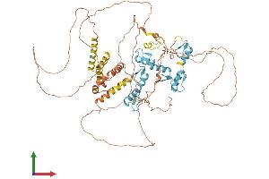 AlphaFold protein structure predicition of Human Recombinant BCL6 Protein, UniprotID P41182 (BCL6 Protein (AA 1-706) (His tag))