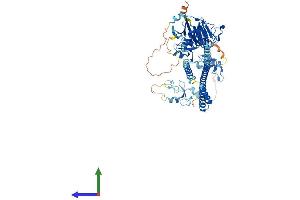 Protein Structure (PS) image for Tripartite Motif Containing 47 (TRIM47) (AA 1-638) protein (His tag) (ABIN7544801)