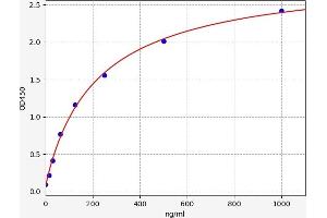 Typical standard curve (Vitamin D-Binding Protein ELISA 试剂盒)