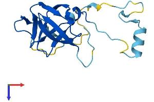 Protein Structure (PS) image for Endogenous Retrovirus Group K, Member 9 (ERVK-9) (AA 1-156) protein (His tag) (ABIN7545122)