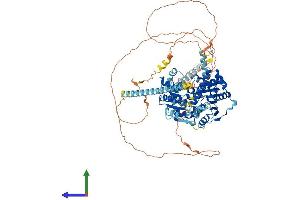 AlphaFold protein structure predicition of Mouse Recombinant Ddx10 Protein, UniprotID Q80Y44