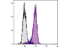 Human histiocytic lymphoma cell line U-937 was stained with Mouse Anti-Human CD71-FITC. (Transferrin Receptor 抗体  (PE))