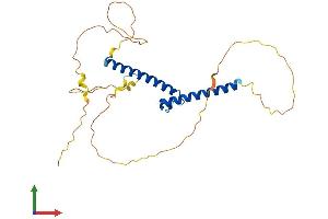 Protein Structure (PS) image for Oligodendrocyte Transcription Factor 3 (OLIG3) (AA 1-272) protein (His tag) (ABIN7550345)