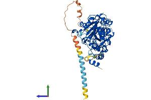 AlphaFold protein structure predicition of Mouse Recombinant Fut10 Protein, UniprotID Q5F2L2 (FUT10 Protein (AA 1-481) (His tag))