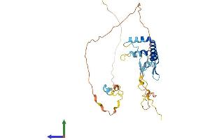 AlphaFold protein structure predicition of Mouse Recombinant Spry2 Protein, UniprotID Q9QXV8