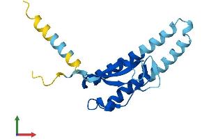 AlphaFold protein structure predicition of Human Recombinant CHIC2 Protein, UniprotID Q9UKJ5