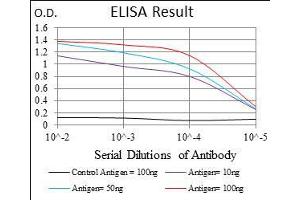 Black line: Control Antigen (100 ng), Purple line: Antigen(10 ng), Blue line: Antigen (50 ng), Red line: Antigen (100 ng), (CD15 抗体  (AA 199-302))