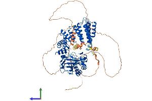 Protein Structure (PS) image for Aspartate beta-Hydroxylase (ASPH) (AA 1-741) protein (His tag) (ABIN7558863)