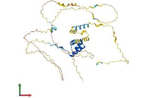 AlphaFold protein structure predicition of Mouse Recombinant Barhl2 Protein, UniprotID Q8VIB5