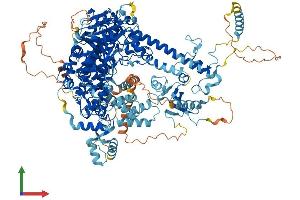 Protein Structure (PS) image for Polymerase (DNA Directed), gamma (POLG) (AA 1-1218) protein (His tag) (ABIN7563443)