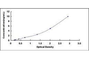 FK506 Binding Protein 5 (FKBP5) ELISA Kit