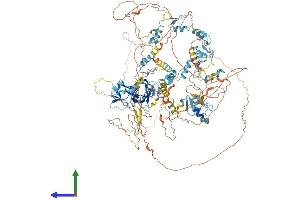 Protein Structure (PS) image for PR Domain Containing 10 (PRDM10) (AA 1-1184) protein (His tag) (ABIN7563754)