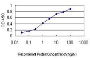 Detection limit for recombinant GST tagged HTRA2 is approximately 0. (HTRA2 抗体  (AA 359-458))