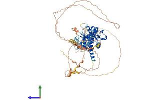 Protein Structure (PS) image for Dual Specificity Phosphatase 8 (DUSP8) (AA 1-625) protein (His tag) (ABIN7547200)
