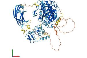 AlphaFold protein structure predicition of Mouse Recombinant Prkce Protein, UniprotID P16054