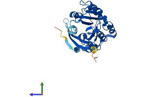Protein Structure (PS) image for Methyltransferase Like 6 (METTL6) (AA 1-282) protein (His tag) (ABIN7558928)