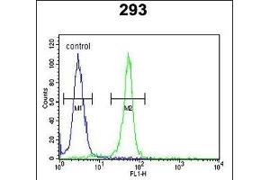 RRS1 Antibody (C-term) (ABIN650939 and ABIN2840003) flow cytometric analysis of 293 cells (right histogram) compared to a negative control cell (left histogram). (RRS1 抗体  (C-Term))