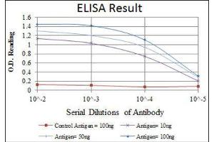 ELISA image for anti-Teratocarcinoma-Derived Growth Factor 1 (TDGF1) antibody (ABIN1846225) (TDGF1 抗体)