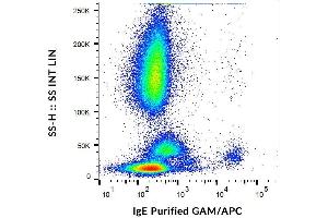 Surface staining of IgE on human peripheral blood cells with anti-IgE (4H10) purified, GAM-APC. (小鼠 anti-人 IgE Antibody)