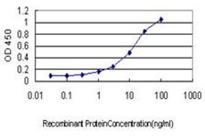 Detection limit for recombinant GST tagged BGLAP is approximately 0. (Osteocalcin 抗体  (AA 52-100))