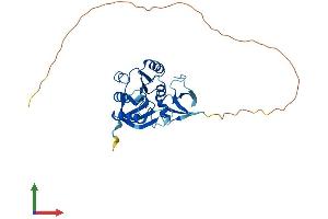 Protein Structure (PS) image for Fibrillarin-Like 1 (FBLL1) (AA 1-314) protein (His tag) (ABIN7558397)