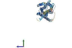 AlphaFold protein structure predicition of Human Recombinant HTR1F Protein, UniprotID P30939