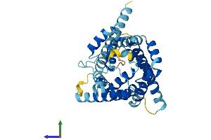 Protein Structure (PS) image for Solute Carrier Family 25 (Mitochondrial Thiamine Pyrophosphate Carrier), Member 19 (SLC25A19) (AA 1-320) protein (His tag) (ABIN7544739)