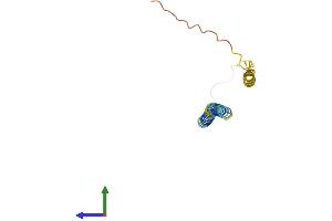 AlphaFold protein structure predicition of Human Recombinant PXT1 Protein, UniprotID Q8NFP0