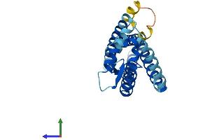 Protein Structure (PS) image for Tetraspanin 8 (TSPAN8) (AA 1-237) protein (His tag) (ABIN7544782)