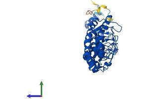 AlphaFold protein structure predicition of Human Recombinant ANKRD16 Protein, UniprotID Q6P6B7