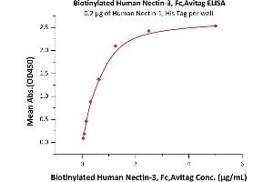 ELISA image for Nectin cell adhesion molecule 3 (NECTIN3) (AA 58-400) (Active) protein (Fc Tag,AVI tag,Biotin) (ABIN5526675)