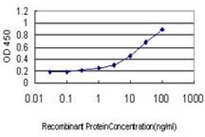 Detection limit for recombinant GST tagged TEK is approximately 0. (TEK 抗体  (AA 701-800))