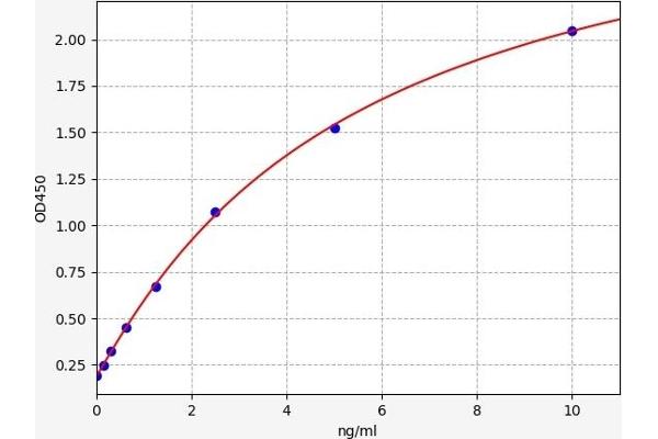 NDUFA6 ELISA 试剂盒