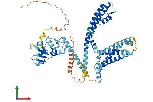 Protein Structure (PS) image for Potassium Voltage-Gated Channel, Subfamily G, Member 4 (Kcng4) (AA 1-519) protein (His tag) (ABIN7548775)