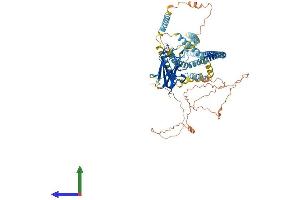 Protein Structure (PS) image for Sad1 and UNC84 Domain Containing 2 (SUN2) (AA 1-717) protein (His tag) (ABIN7555630)