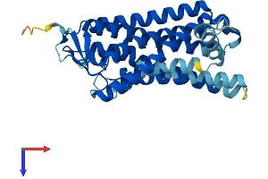 Olfactory Receptor, Family 4, Subfamily M, Member 1 (OR4M1) (AA 1-313) protein (His tag)