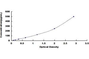 Typical standard curve (FASL ELISA 试剂盒)