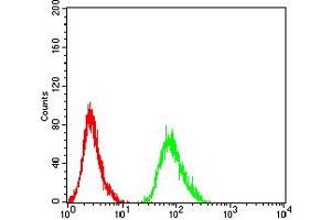 Flow Cytometry (FACS) image for anti-Adrenergic, beta-2-, Receptor, Surface (ADRB2) (AA 302-413) antibody (ABIN5911929) (beta 2 Adrenergic Receptor 抗体  (AA 302-413))