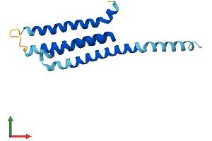 Protein Structure (PS) image for Arachidonate 5-Lipoxygenase-Activating Protein (ALOX5AP) (AA 1-161) protein (His tag) (ABIN7563085)