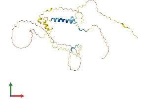 Protein Structure (PS) image for Myozenin 1 (MYOZ1) (AA 1-299) protein (His tag) (ABIN7549638)