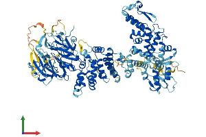 AlphaFold protein structure predicition of Mouse Recombinant Herc6 Protein, UniprotID F2Z461 (HERC6 Protein (AA 1-1003) (His tag))