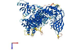 PIK3CD Protein (AA 1-1044) (His tag)