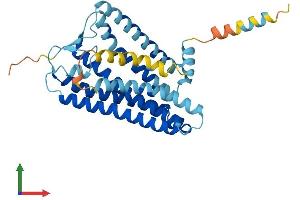 Protein Structure (PS) image for Olfactory Receptor, Family 6, Subfamily B, Member 3 (OR6B3) (AA 1-331) protein (His tag) (ABIN7550383)